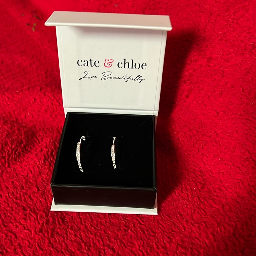 Cate & Chloe Bianca 18k White Gold Drop Dangle Hoop Earrings With Gift Box NEW
